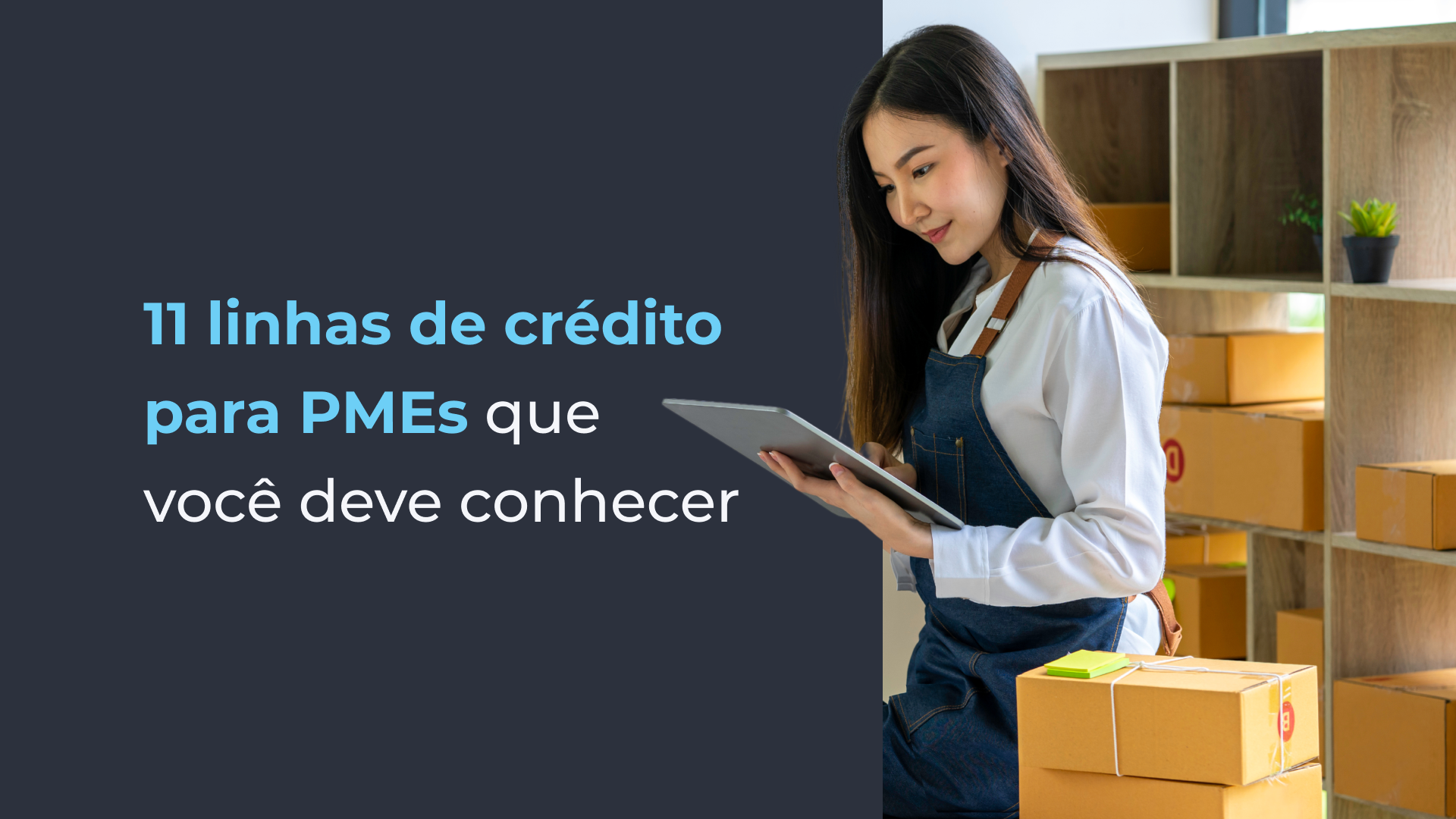 11 linhas de crédito para PMEs